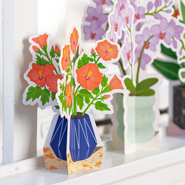 Hibiscus Paper Plant 2